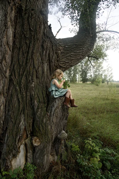 Kleines Mädchen Auf Einem Sehr Großen Baum Hochwertiges Foto — Stockfoto