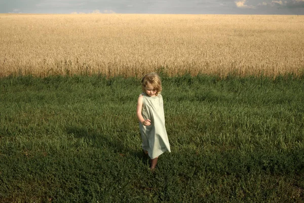 Niño Pequeño Camina Hacia Cámara Composición Centro Contraste Color Una —  Fotos de Stock