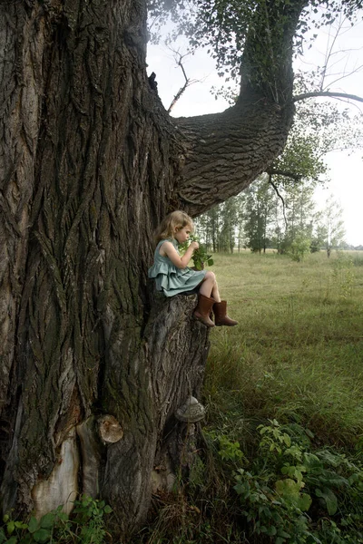 Kleines Mädchen auf einem sehr großen Baum — Stockfoto