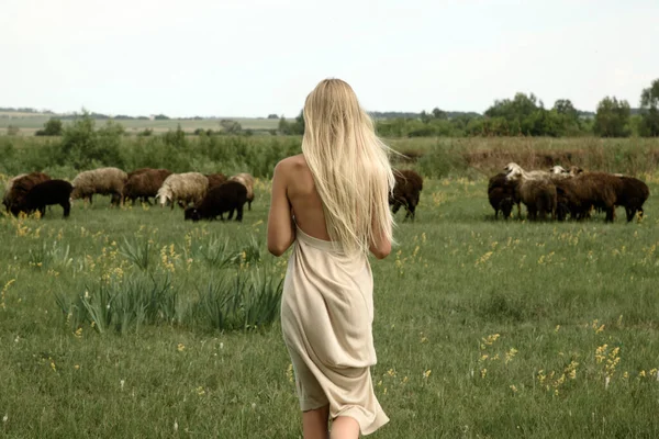 Yeşil çayırda yürüyen kız