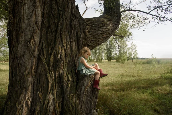 Κοριτσάκι που κάθεται σε ένα πολύ μεγάλο δέντρο — Φωτογραφία Αρχείου
