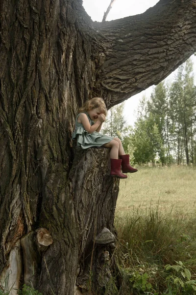 Mała dziewczynka siedząca na bardzo dużym drzewie — Zdjęcie stockowe