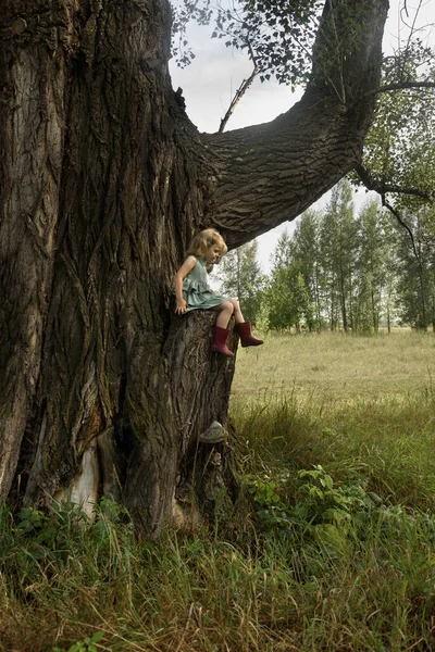 Bambina seduta su un albero molto grande — Foto Stock