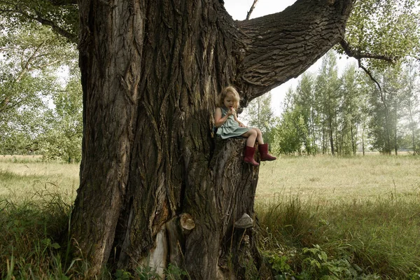 Ein Kleines Mädchen Sitzt Auf Einem Alten Baum Ein Kind — Stockfoto