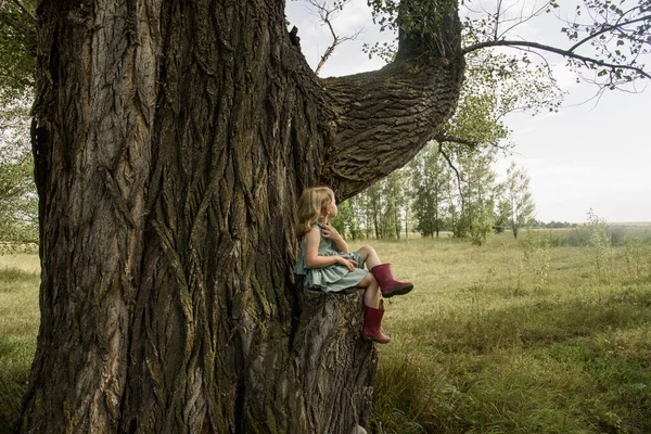 Una Bambina Siede Vecchio Albero Bambino Mangia Una Mora Girare — Foto Stock