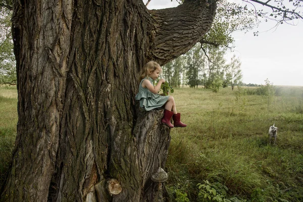 Ein Kleines Mädchen Sitzt Auf Einem Alten Baum Ein Kind — Stockfoto