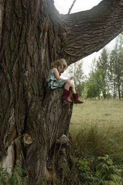 Kleines Mädchen sitzt auf einem sehr großen Baum — Stockfoto