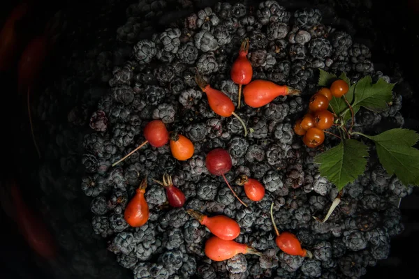 黑莓、玫瑰、山楂、钾、山楂的静止生命 — 图库照片