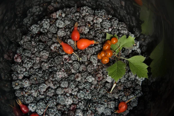 黑莓、玫瑰、山楂、钾、山楂的静止生命 — 图库照片