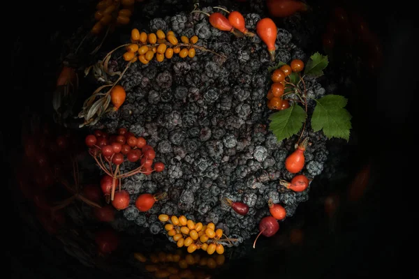 böğürtlen, güllük, dikenlik, potasyum, dikenli