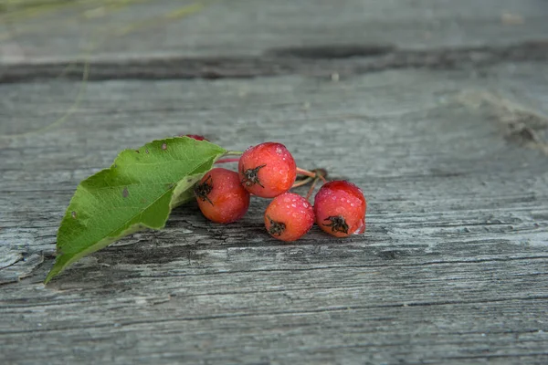 A sprig of wild apples on a wooden background. — Stock Photo, Image