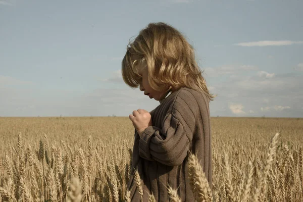 Buğday tarlasındaki küçük kız bir kazığa hayran.