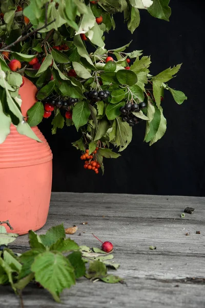 Siyah arka planda bir buket yabanmersini.