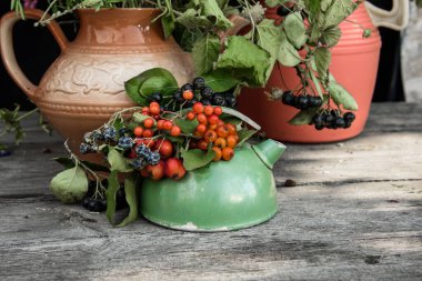 Böğürtlen buketleri ve kır çiçekleriyle dolu sakin bir hayat.