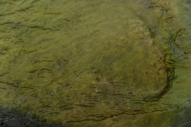 Tina 'nın su altındaki dokusu. Parlak yüzey yeşil.