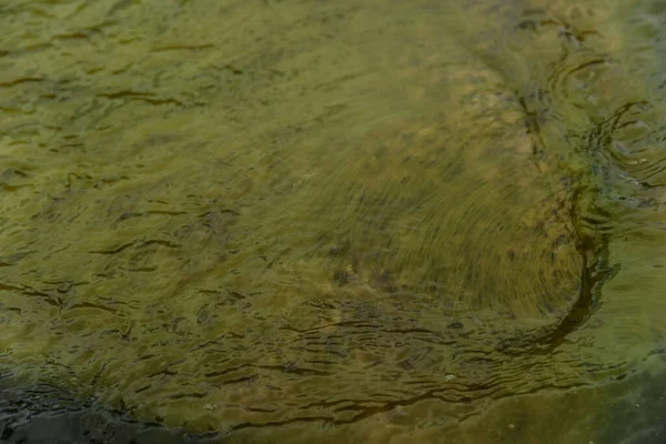 La textura de la tina bajo el agua. La superficie brillante es verde. — Foto de Stock