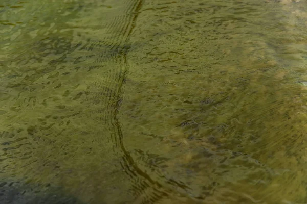 Tina 'nın su altındaki dokusu. Parlak yüzey yeşil.