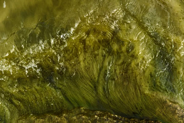 Tina állaga a víz alatt. A fényes felület zöld.. — Stock Fotó