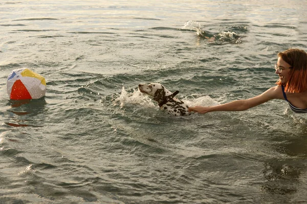 Meisje in blauw zwempak speelt met dalmatian hond — Stockfoto