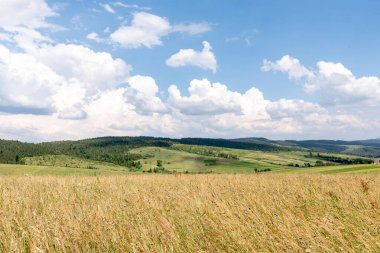 Dağları, bulutları ve uzun otları olan Karpatların Panoraması