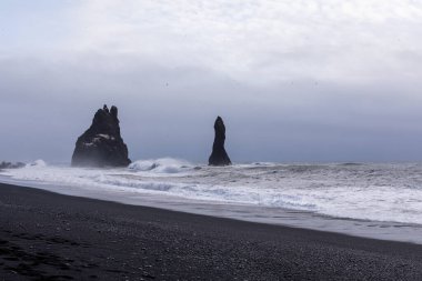 Reynisfjara kara plajı ve kayalar kışın Atlantik Okyanusu 'ndan yükseliyor.