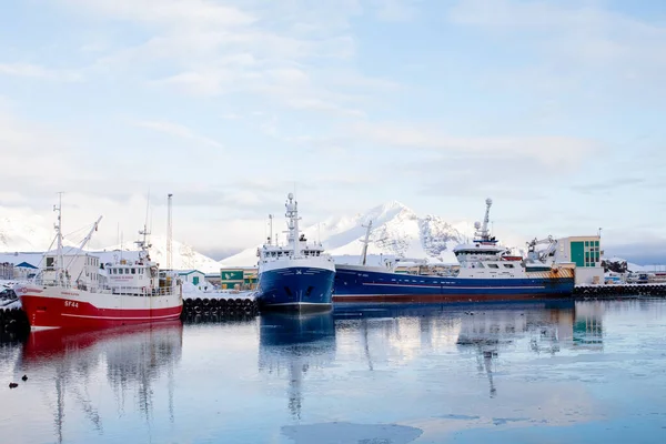 Zwei Bootsstege Hofn Port Panorama Wintereisstrand Mit Boot — Stockfoto