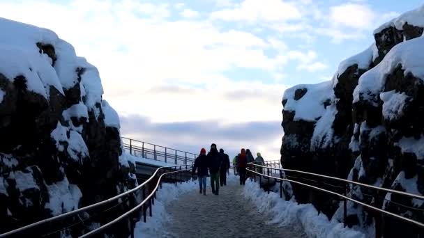 Junges Paar Folgt Thingvellir Nationalpark Dem Pfad Zwischen Felsen Und — Stockvideo