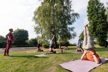 Yoga Grubu parkta omuz üstü poz veriyor.
