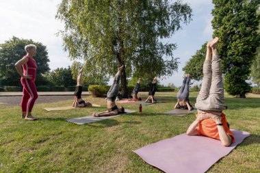Yoga Gurubu, ağaçların yanındaki parkta, açık havada poz veriyor.