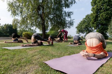 Yoga ustası kadın parkta esneme egzersizleri yapıyor.