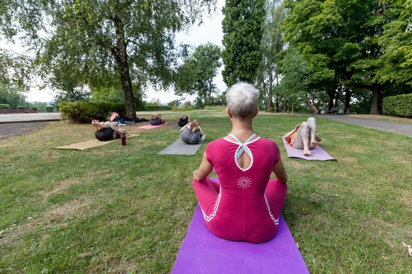 Yoga ustası Hatha seremonisi düzenliyor. Bir grup insan parkta yerde yatıyor.