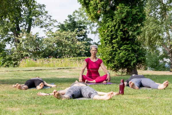 Yoga ustası bir grup insanla parkta hatha töreni düzenliyor.