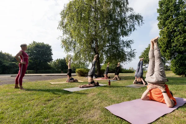 Yogas Group do poses Shoulderstand outdoors in the park
