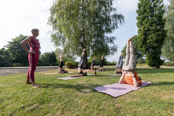 Kadın yoga ustası gruba bakıyor. Berizka 'yı ağaçların yanındaki parkta poz veriyor.