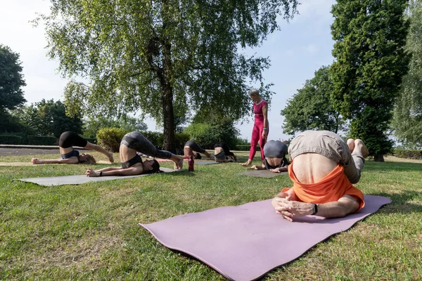 Kadın yoga ustası parkta esneme egzersizleri yapıyor.