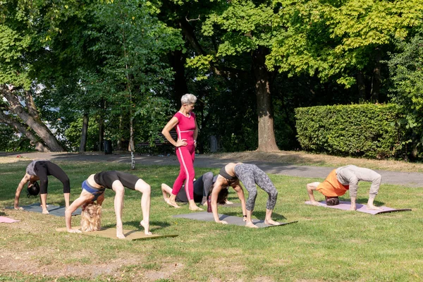 Yoga pozu. Dişi usta, köprü pozisyonunun uygulanmasını gözlemliyor.