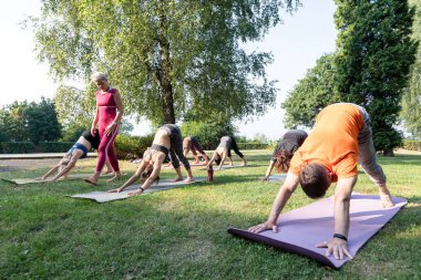 Kadın yoga ustası, köpek pozisyonunda durmak için grubu kontrol eder.