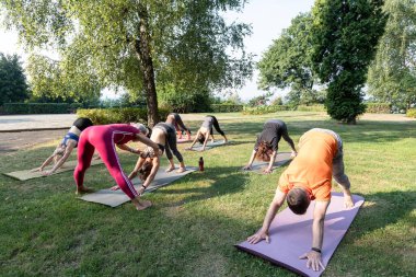 Kadın yoga ustası gruba köpek pozisyonunda durmayı öğretiyor.