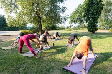 Grup yoga dersleri köpek pozisyonunda durmayı öğreniyor.