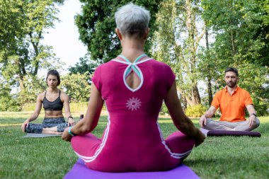 Genç bir çift çimlerin üzerinde lotus pozisyonunda oturur ve zen ustalarının arka planında meditasyon yapar.