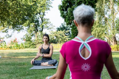 Nilüfer çiçeğinin üzerinde oturan güzel kız elini onun koluna koydu ve zen ustasının arka planında dinleniyor.