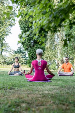 Genç bir çift parkta nilüfer pozisyonunda oturur ve yoga ustalarıyla birlikte Zen ve huzuru hissederler.
