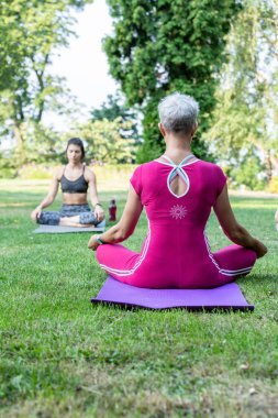 Yoga ustası lotus pozisyonunda oturur ve güzel bir kıza çimenlerin üzerindeki Zen hissini öğretir.