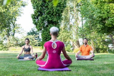 Usta bir yoga öğretmeni, genç bir çifte çimlerin üzerindeki bir parkta sakin ve Zen hissini öğretir.