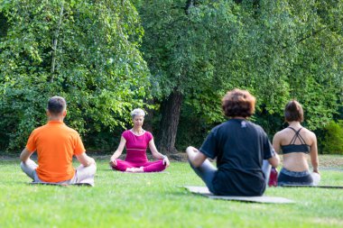 İnsanlar nilüfer pozisyonunda oturup yoga hocalarıyla çimlerin üzerinde Zen deneyimlerler.