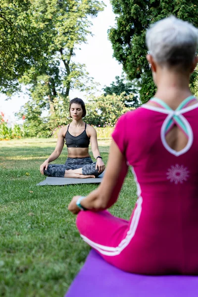 Güzel kız lotus pozisyonunda çimlerin üzerinde oturuyor ve zen ustasının arka planında dinleniyor.