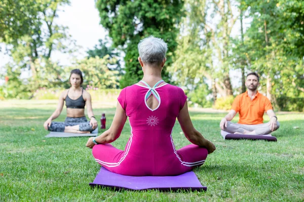 Yoga ustası nilüfer pozisyonunda oturur ve genç bir çifte çimenlerin üzerinde Zen hissi öğretir.