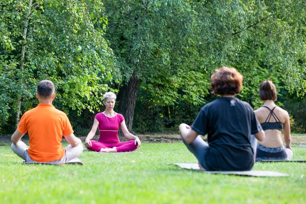 Nilüfer pozisyonunda oturan ve yoga ustalarıyla çimlerin üzerinde Zen deneyimi yaşayan bir grup yetişkin.
