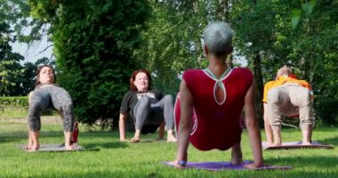Bir grup insan için parkta kadın yoga ustası eğitimi.