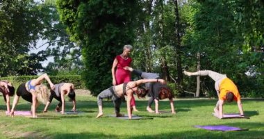 Yoga yapan bir grup insana çim üzerinde bir parkta yan kalas yapmalarında yardımcı oluyor.